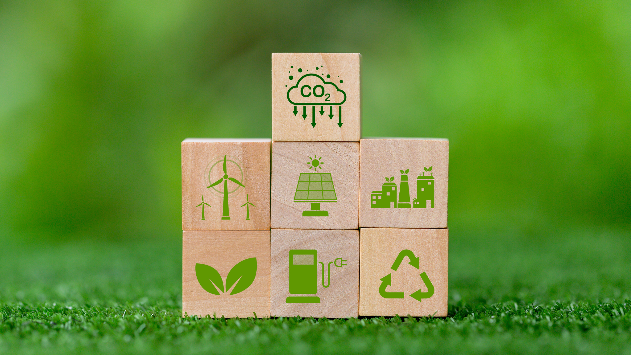 Pledge to Net Zero Report